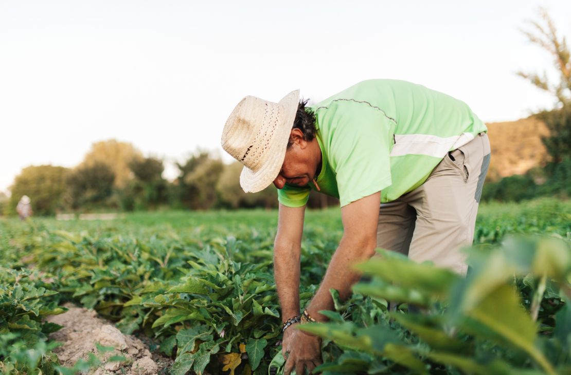 Produtor rural deve ficar atento a informações relevantes na hora de declarar o ITR
