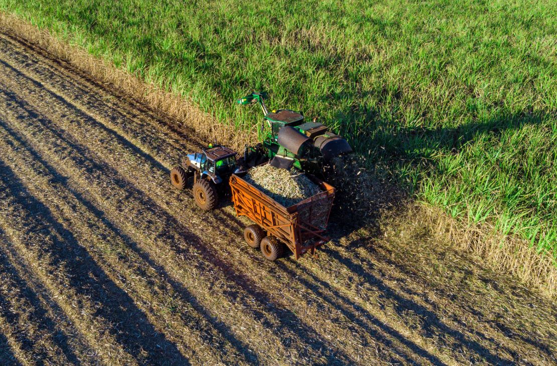 Com forte reação do agro, MS gerou 3 mil empregos em junho e tem estoque de trabalho recorde