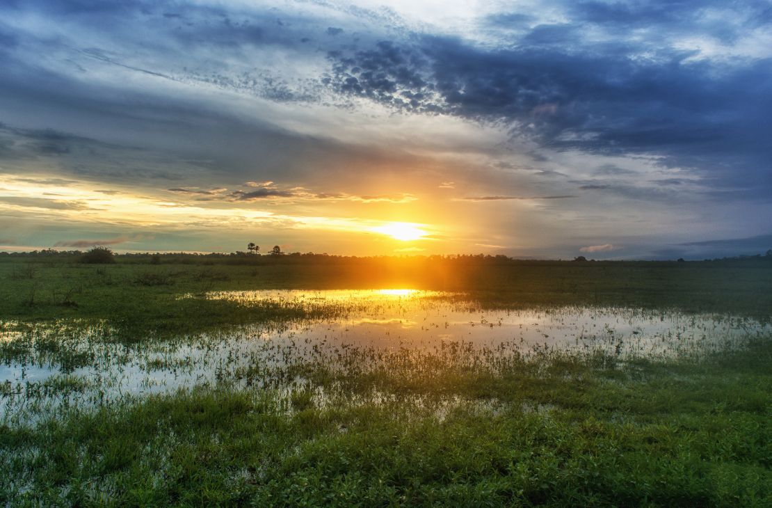 Frente Parlamentar em Defesa do Pantanal será lançada dia 02