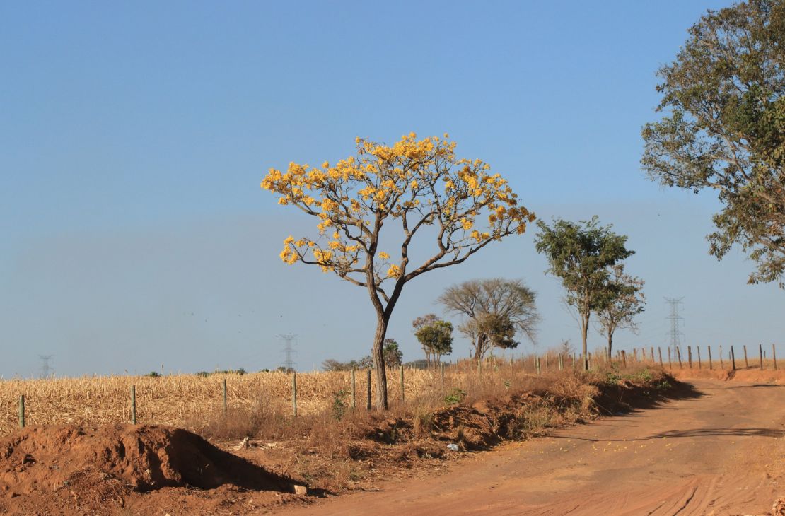 Segunda-feira terá tempo quente e seco em MS, prevê meteorologia