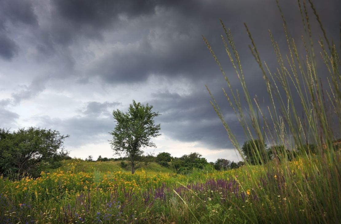 Semana começa com possíveis pancadas de chuva, mas tempo estabiliza no decorrer dos dias