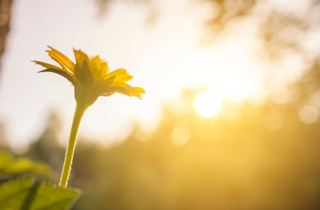 Apesar de previsão de sol, chuvas não são descartadas nesta sexta-feira em MS