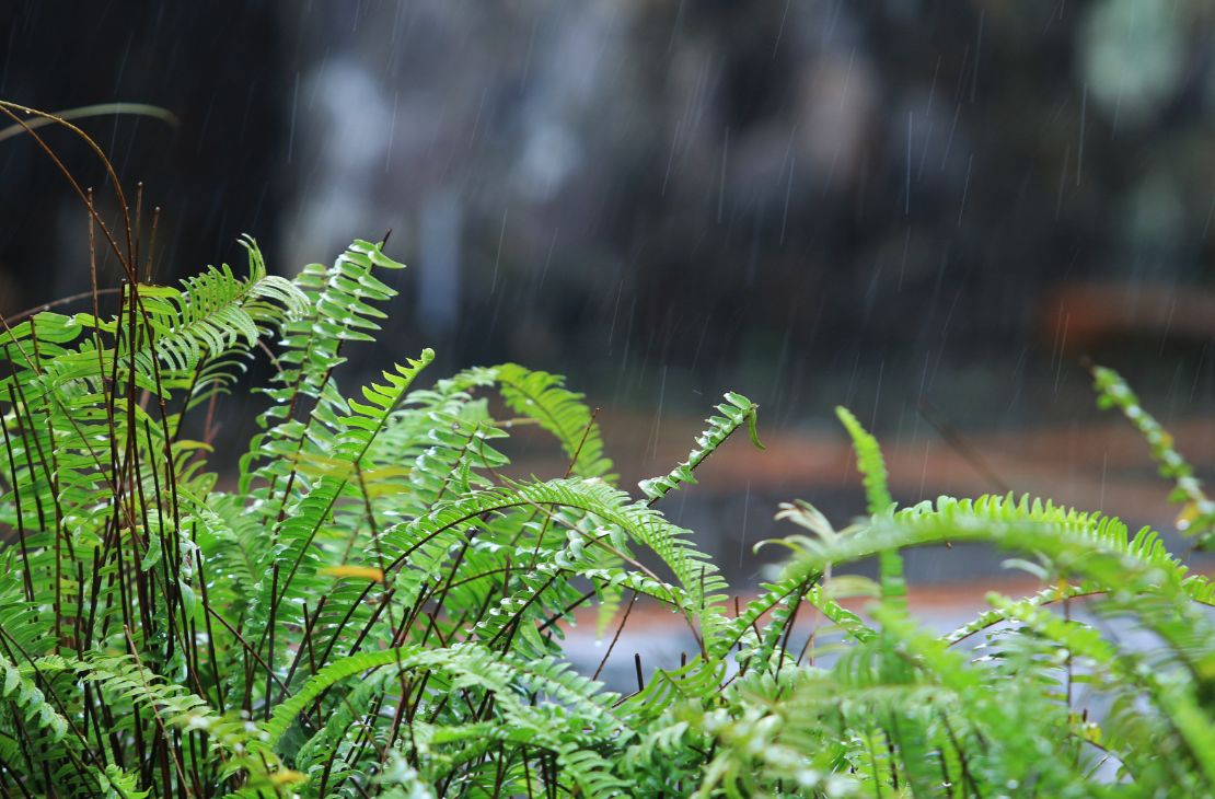 Previsão de chuvas para esta terça-feira em Mato Grosso do Sul