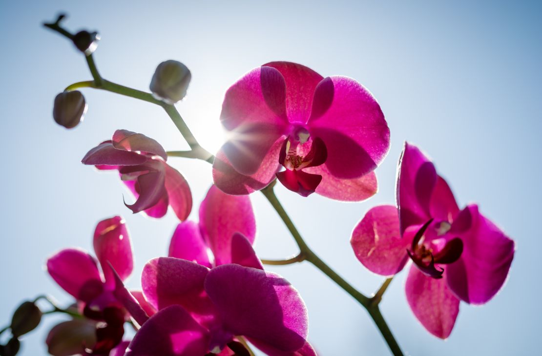Frente fria derruba temperaturas nesta quarta-feira em Mato Grosso do Sul