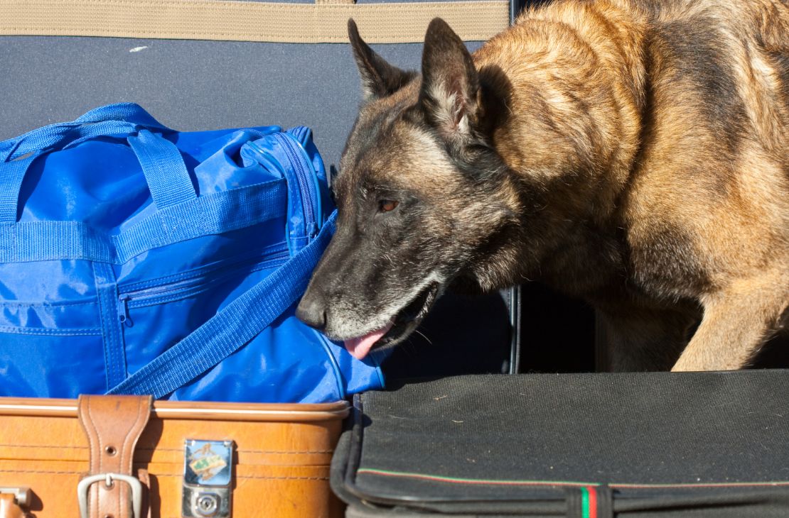 Flagrado por cão farejador, jovem é preso com R$ 30 mil em droga