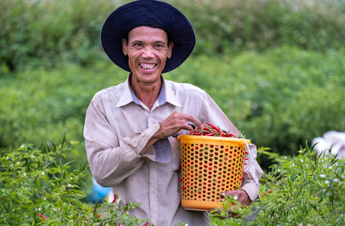 Agricultores familiares, indígenas e quilombolas têm até novembro para entrar em programa do PAA