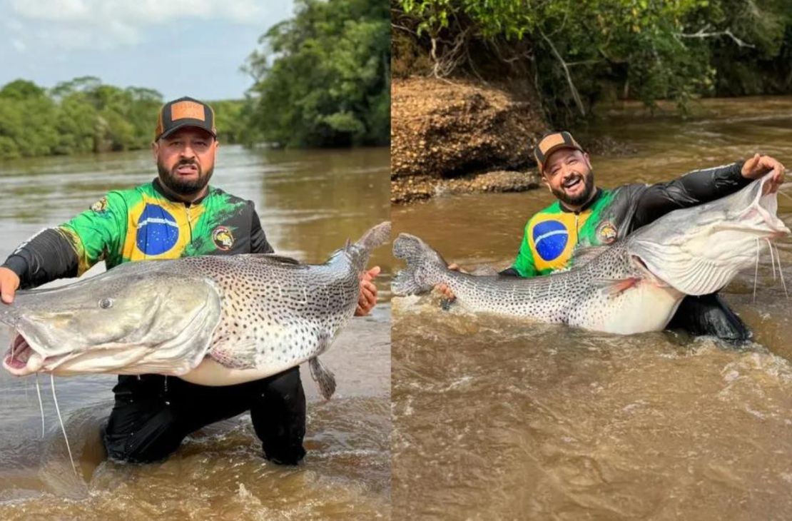 Empresário leva 6 minutos para fisgar pintado gigante de 1,80 m e devolve peixe ao rio: 'saiu saudável e nadando'
