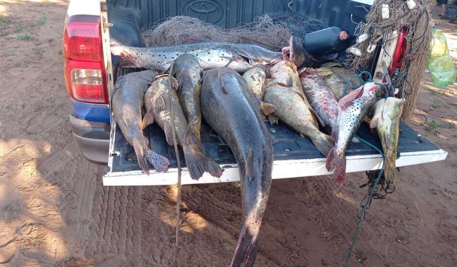 Pescadores flagrados com petrechos e exemplares proibidos
