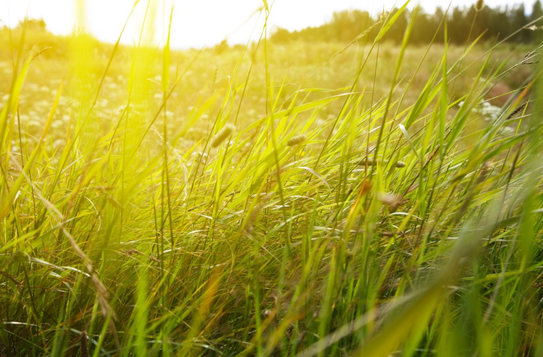 Calorão dá uma trégua nesta segunda-feira e chuvas voltam a ocorrer no Estado