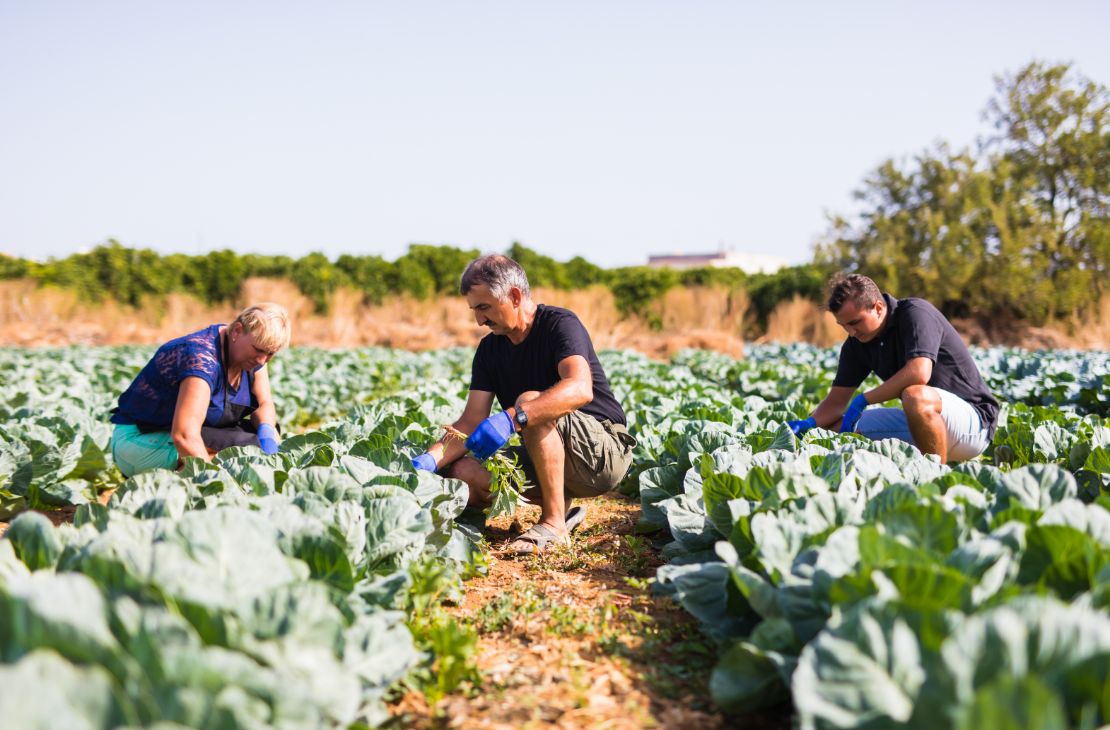 Com projeto na agricultura familiar, MS dá mais um passo para se tornar carbono neutro até 2030
