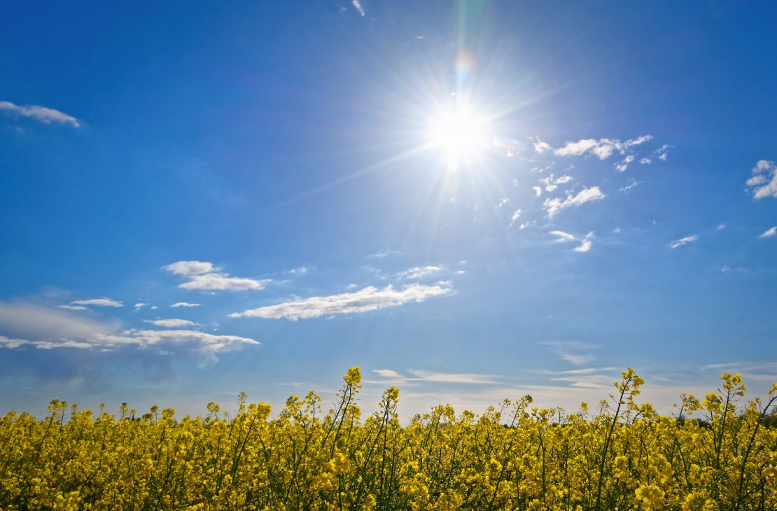 Quarta-feira ensolarada tem variação de nebulosidade e possibilidade de chuvas em MS