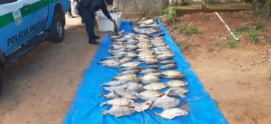 Operação Piracema: ações intensificadas e resultados significativos contra a pesca predatória