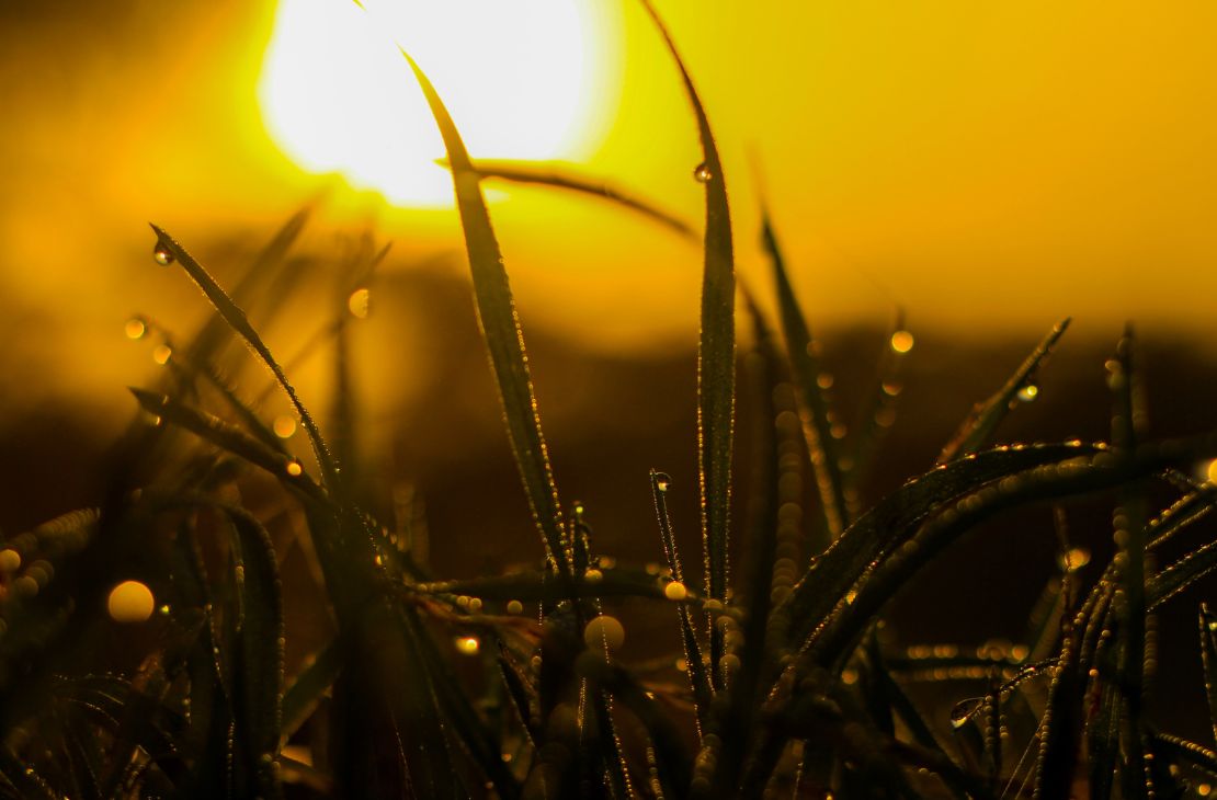 De sol a tempestades, tempo instável é previsão para este domingo em MS