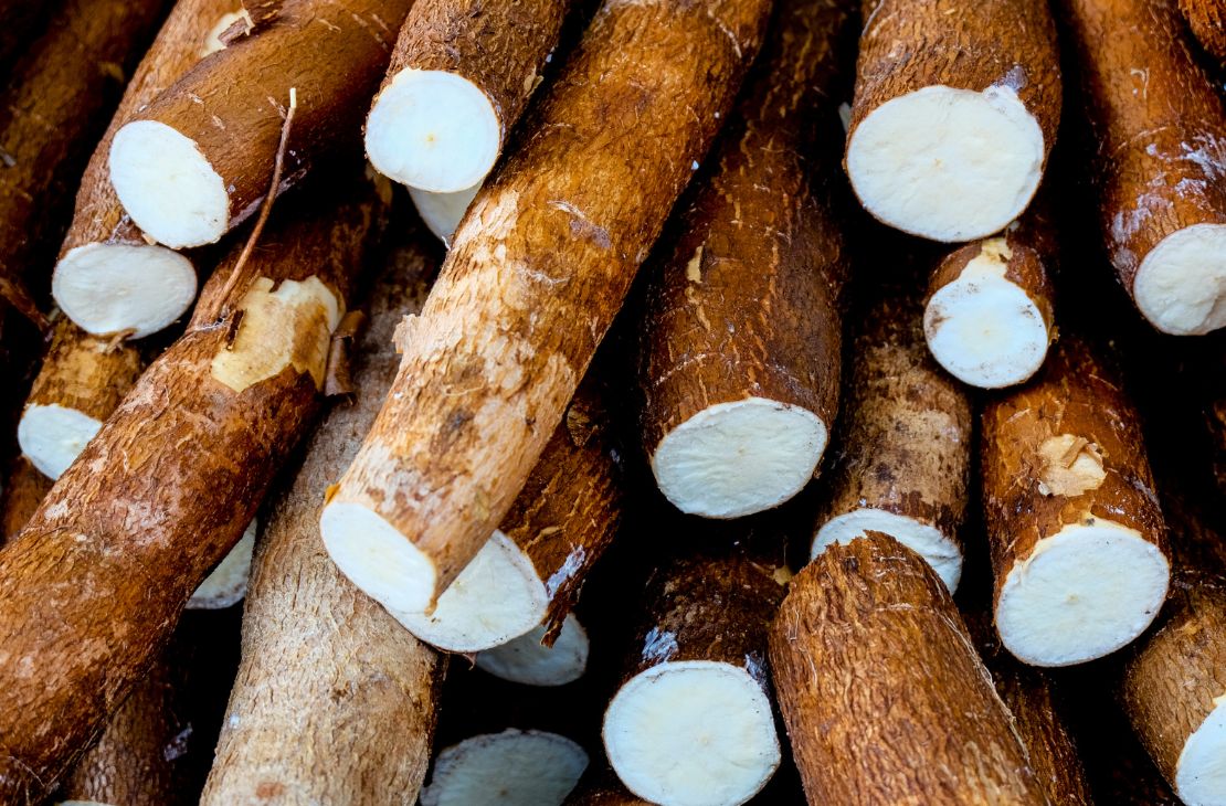 MS bate recorde na produção de mandioca e lidera exportação de fécula no País