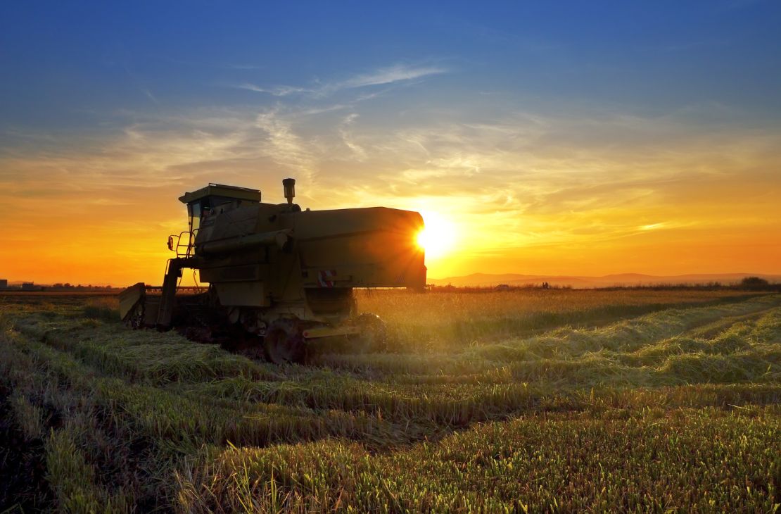 PIB do agronegócio de Mato Grosso do Sul cresce significativamente em 2023