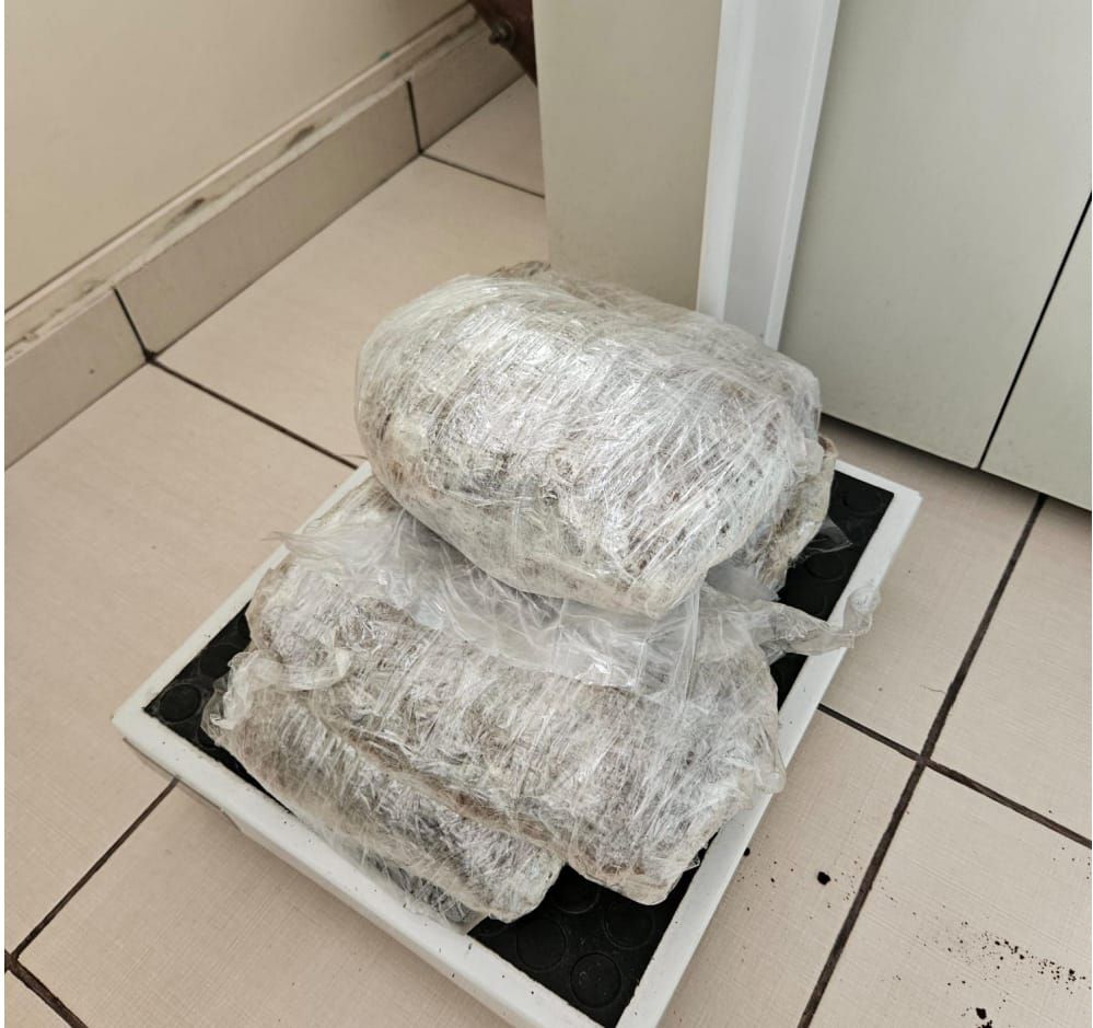 Mulheres de 25 e 28 anos são apontadas como elos para transporte de droga para Capital