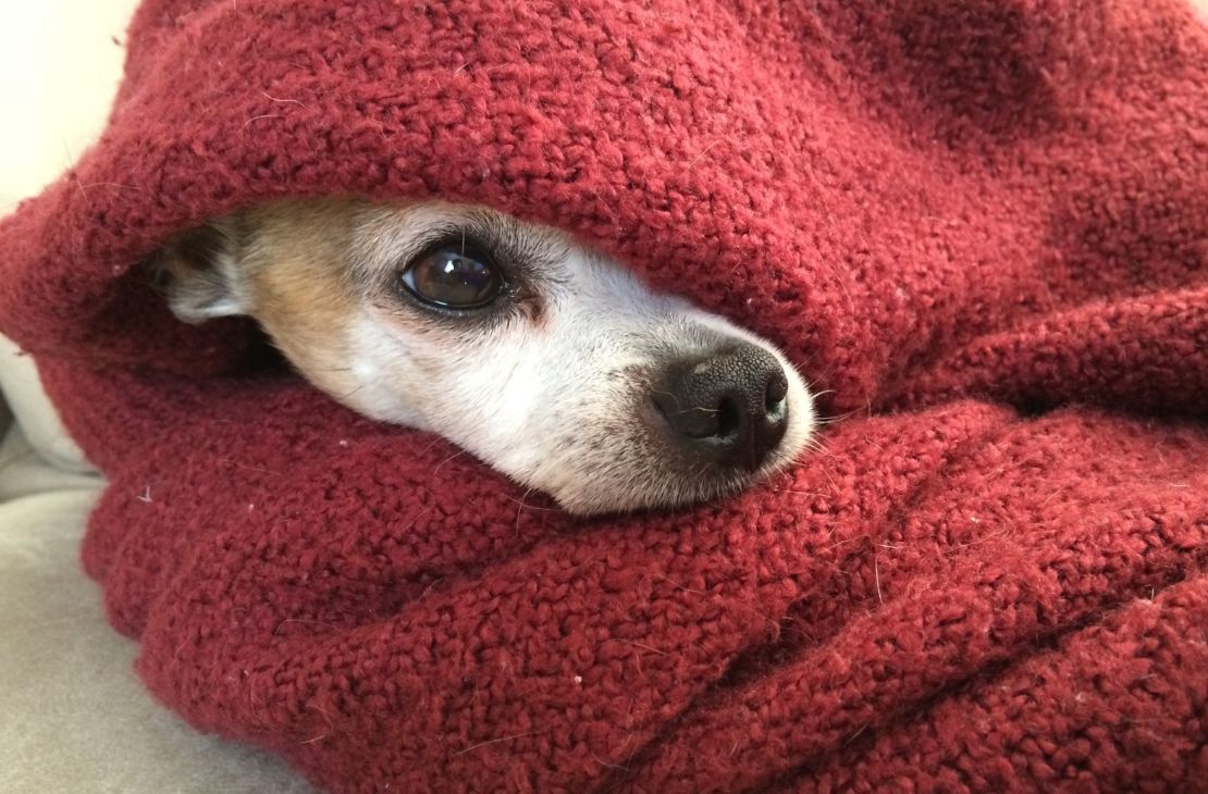 Frente Fria trará mudanças climáticas a MS: chuvas e redução de temperatura são previstas