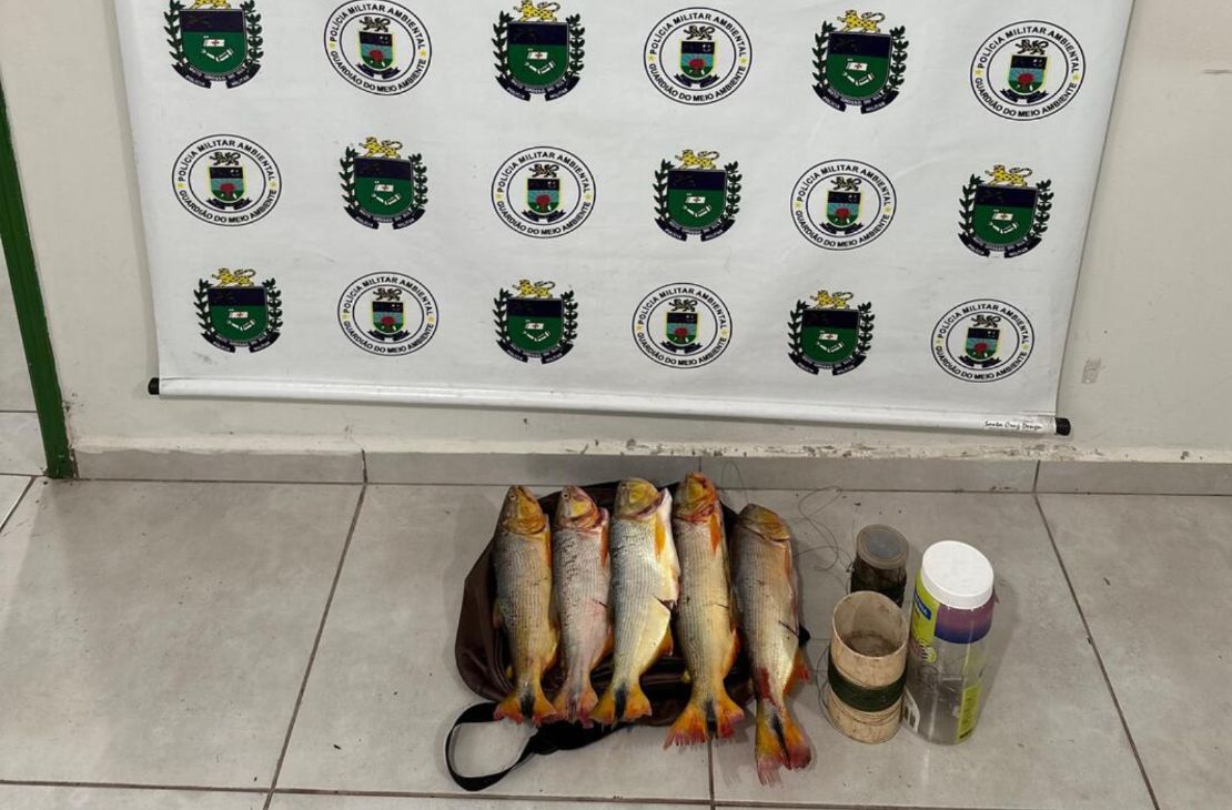 Policiais Ambientais apreendem pescado ilegal e multam homem