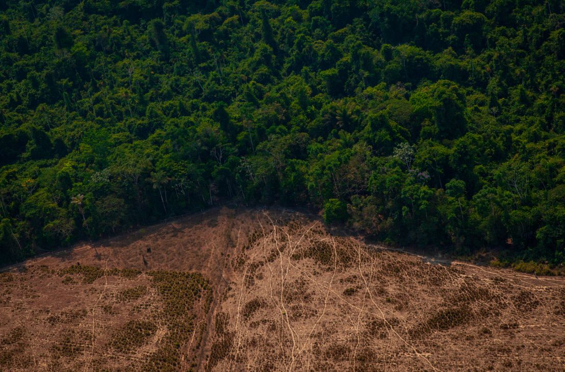 Desmatamento em terra indígena tem redução de 42% em seis anos, revela Imazon