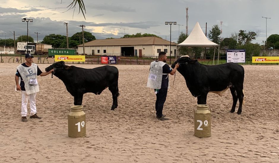 Expogrande 2024 supera expectativas e fatura mais de R$ 570 milhões