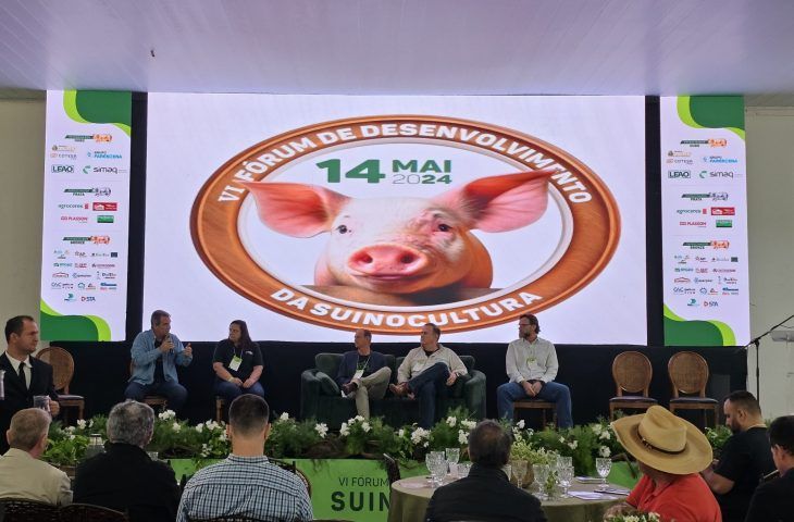 Case de sucesso na suinocultura, programa Leitão Vida repassou R$ 59 milhões aos produtores de MS