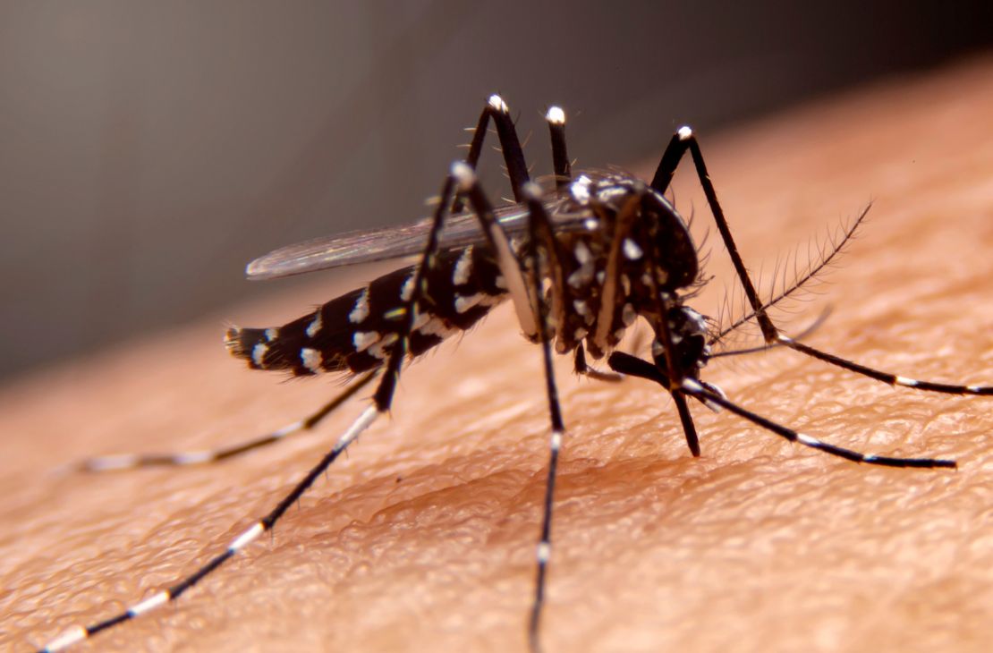 Boletim Epidemiológico: MS registra 8.677 casos confirmados de dengue