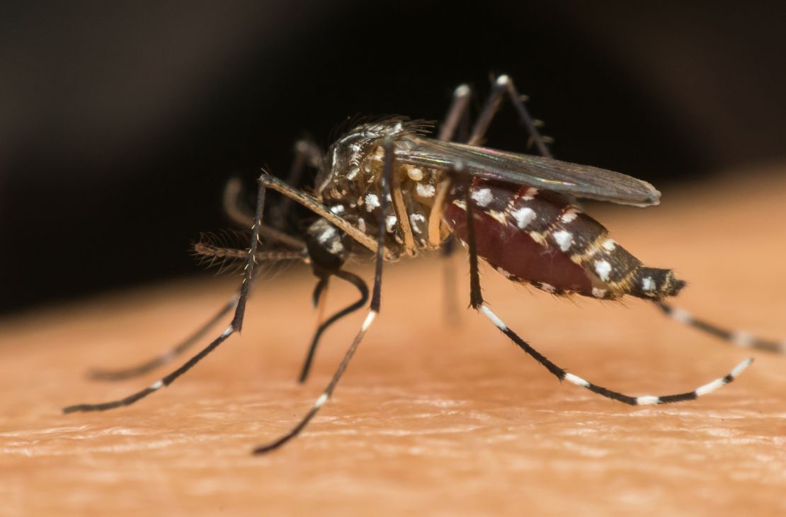 MS registra 12.197 casos confirmados de dengue, aponta Boletim Epidemiológico