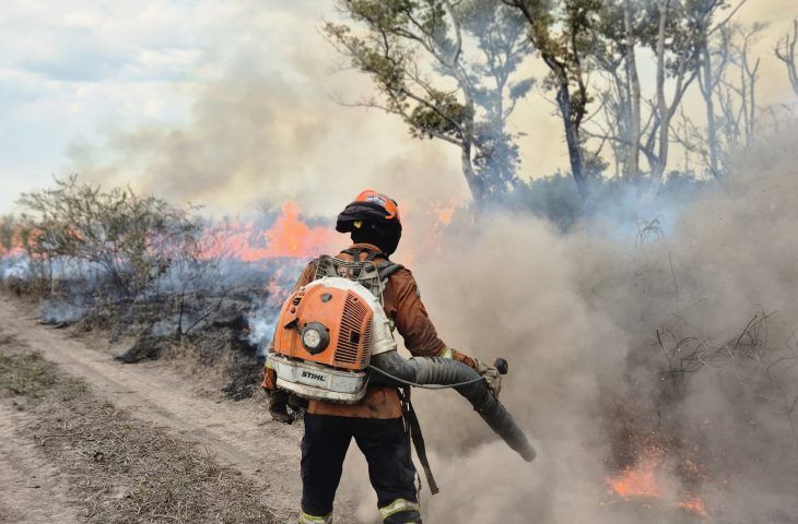 Operação Pantanal segue com combate e monitoramento de focos de incêndio em diferentes regiões