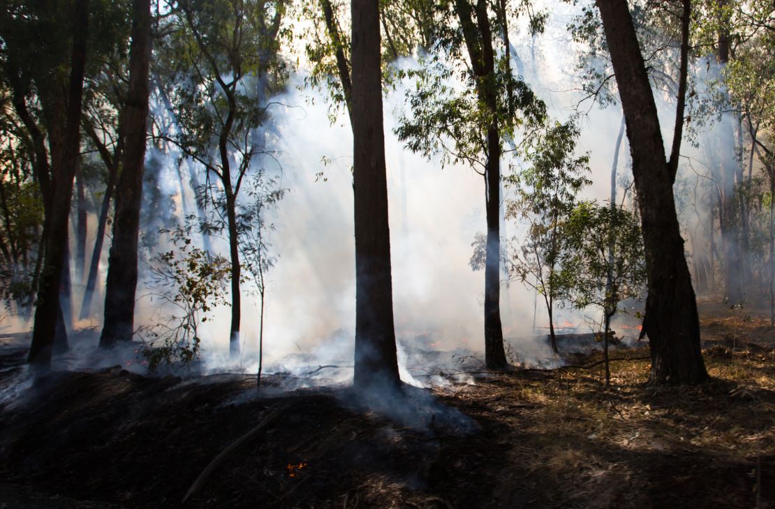 Incêndios no Pantanal reduzem com trabalho coordenado