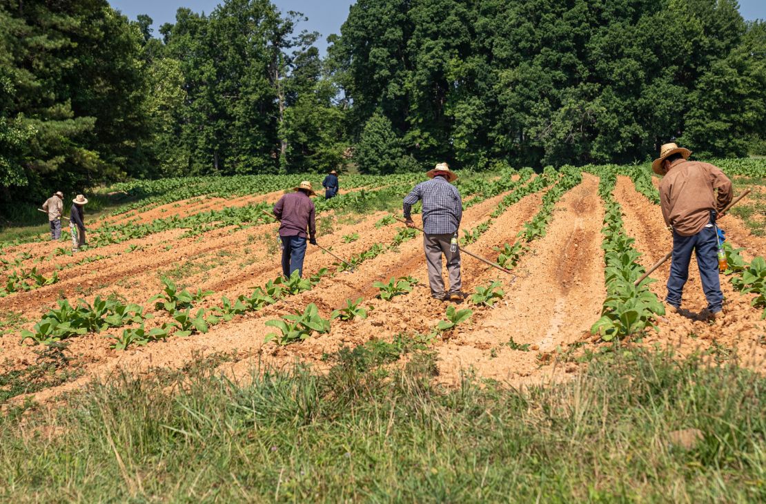 Investimento na agricultura familiar sobe 130% em edital de extensão da Fundect