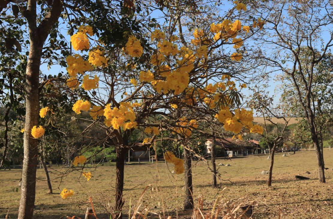 Semana começa com frente fria, mas tempo seco continua