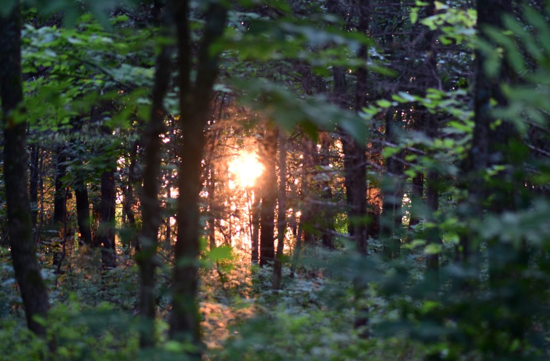 Quinta-feira tem previsão de sol e pode registrar mudança de tempo em Mato Grosso do Sul