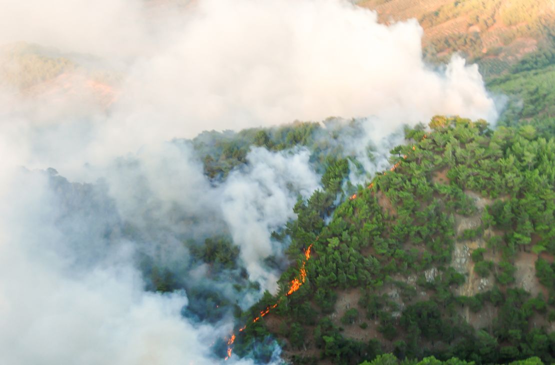 Rondônia declara situação de emergência por incêndios florestais