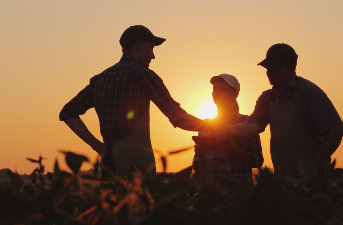 MS emplaca 14 municípios entre os 100 mais ricos do agro no Brasil