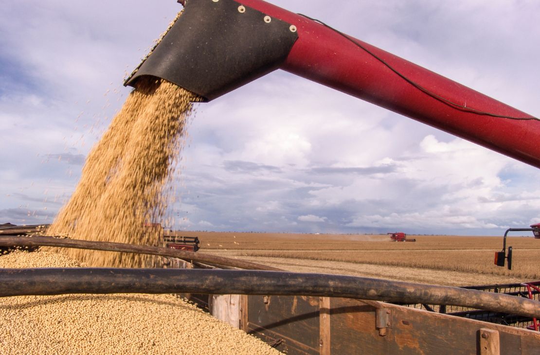 Produtores rurais devem declarar área plantada de soja até o dia 10 de janeiro no site da Iagro