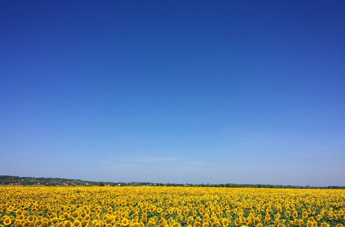 Primeiro final de semana do ano começa com sol e possibilidades de chuvas