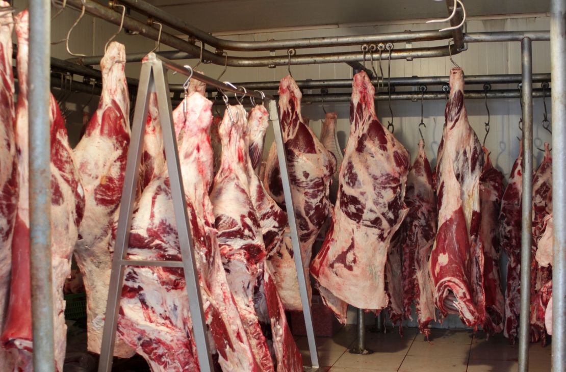 MS abate quase 4 milhões de bovinos em 2024