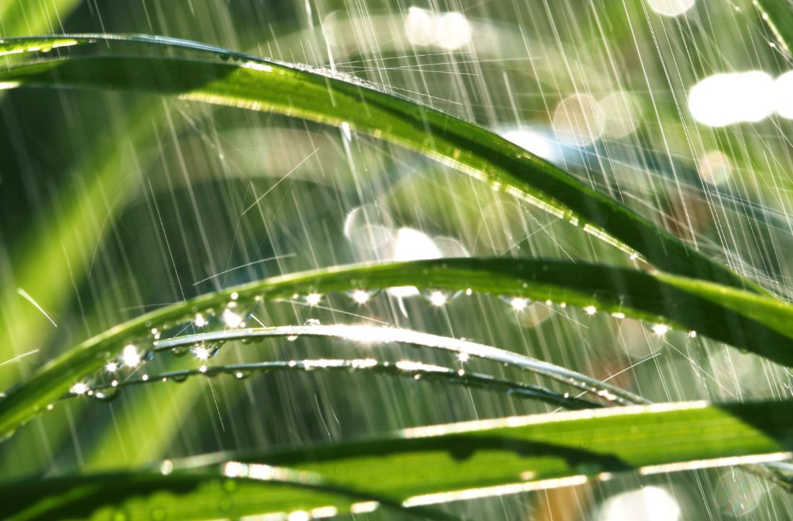 Previsão do tempo: Calor e chuvas isoladas nesta terça-feira