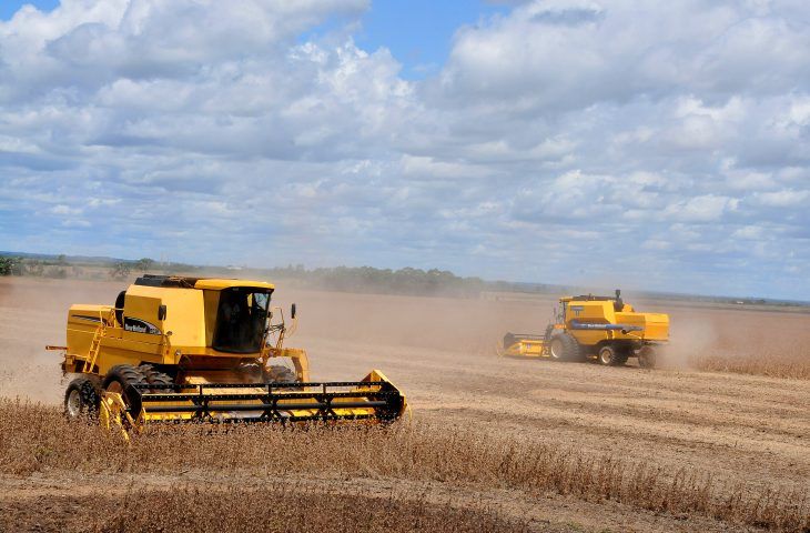 Produção agrícola de Mato Grosso do Sul deve chegar a 75,3 milhões de toneladas na safra 2024/25