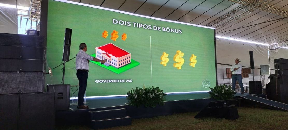 Com Precoce MS, abate de novilhos cresceu 112% nos últimos anos em Mato Grosso do Sul