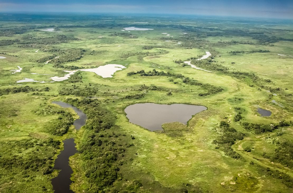 Desmatamento no Pantanal cai 75% entre agosto de 2024 e abril de 2025