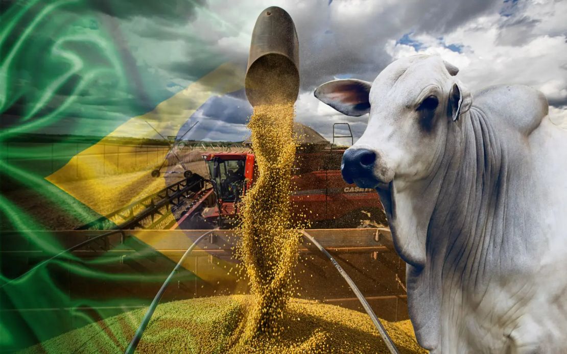 Agro brasileiro pede 