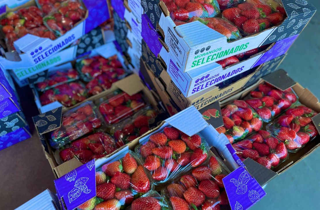 Ceasa: em meio a febre do morango do amor, procura pela fruta aumenta e preço já subiu 35%