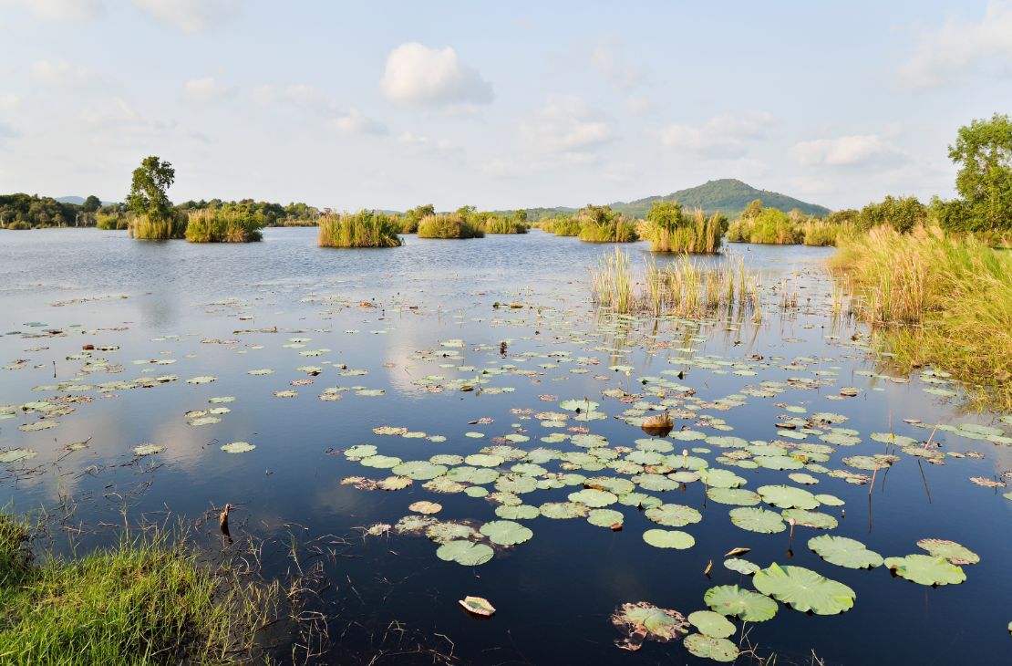 Pantanal brasileiro é destaque em campanha global inédita com a National Geographic