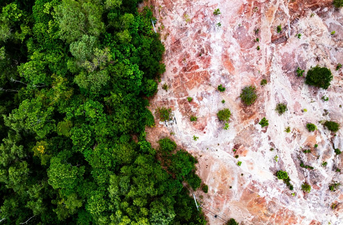 Em 40 anos, Amazônia perdeu área de vegetação do tamanho da França