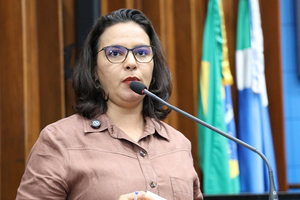 Pauta central para o desenvolvimento de MS, Educação motiva debate em plenário