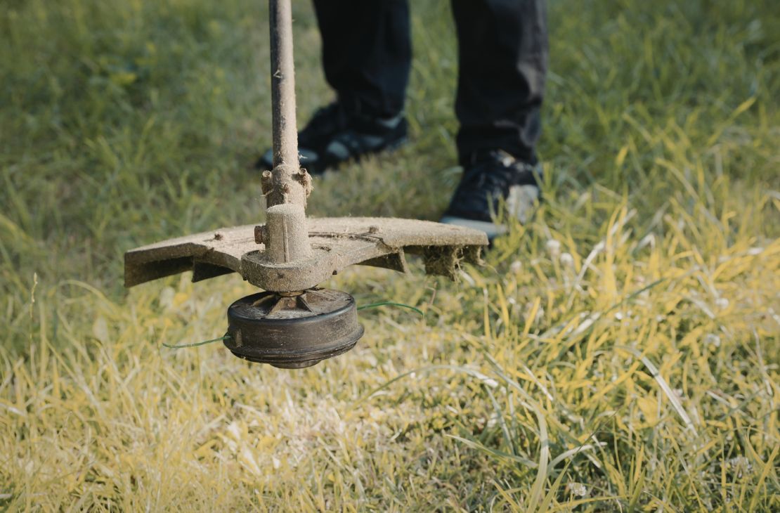 Moradores e comerciantes pagam do próprio bolso para manter canteiros limpos em Campo Grande