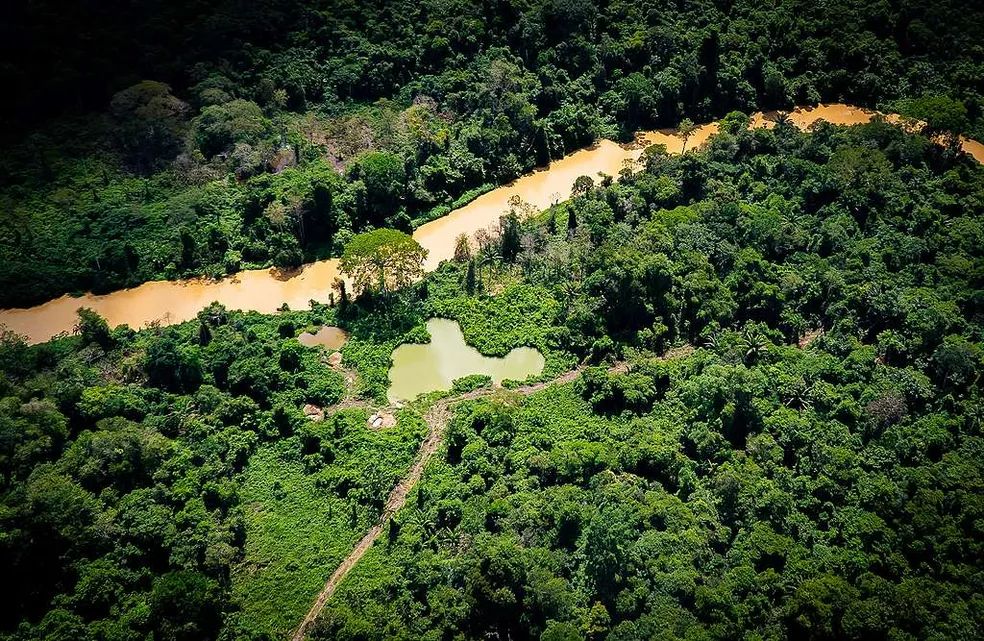Governo reduz quase 100% da área de garimpo ilegal na Terra Yanomami