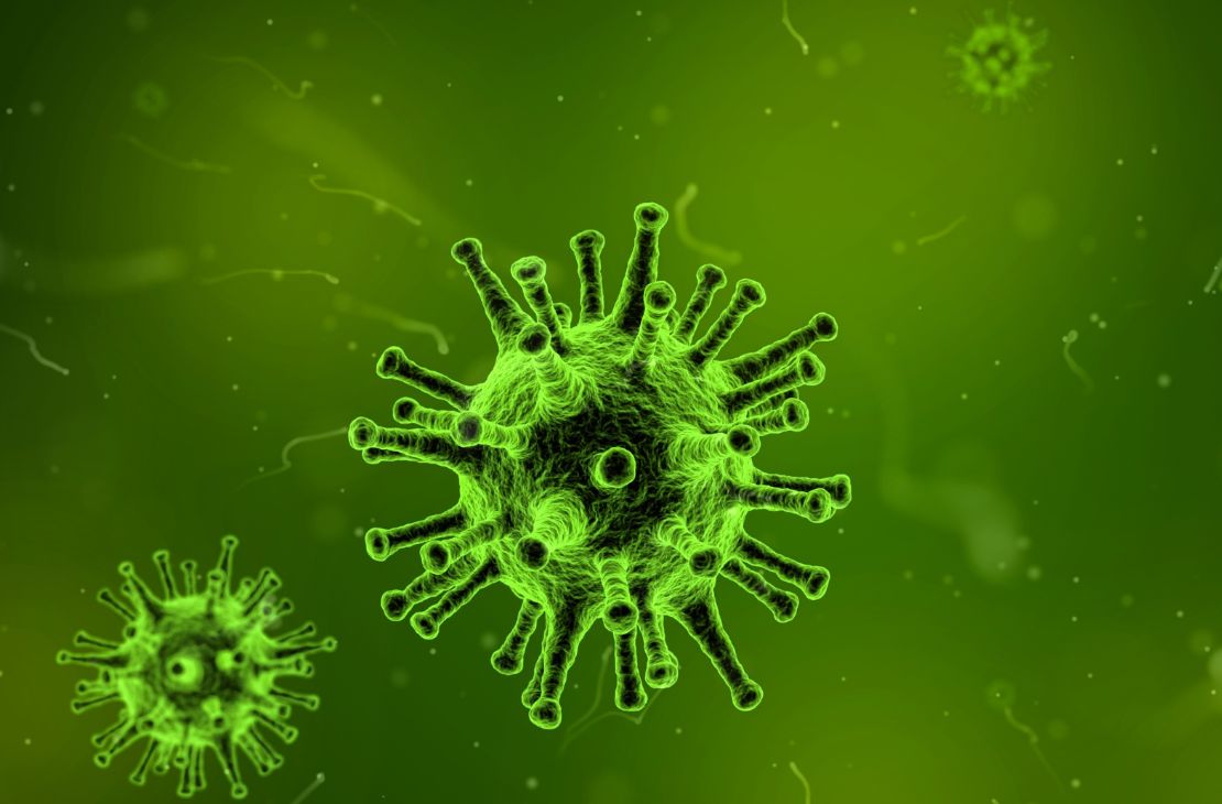 Vírus Nipah: vigilância e atenção