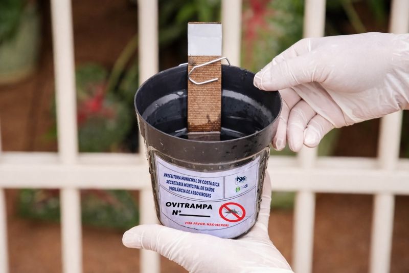 Costa Rica inova no combate à Dengue com implantação de Projeto de Ovitrampas